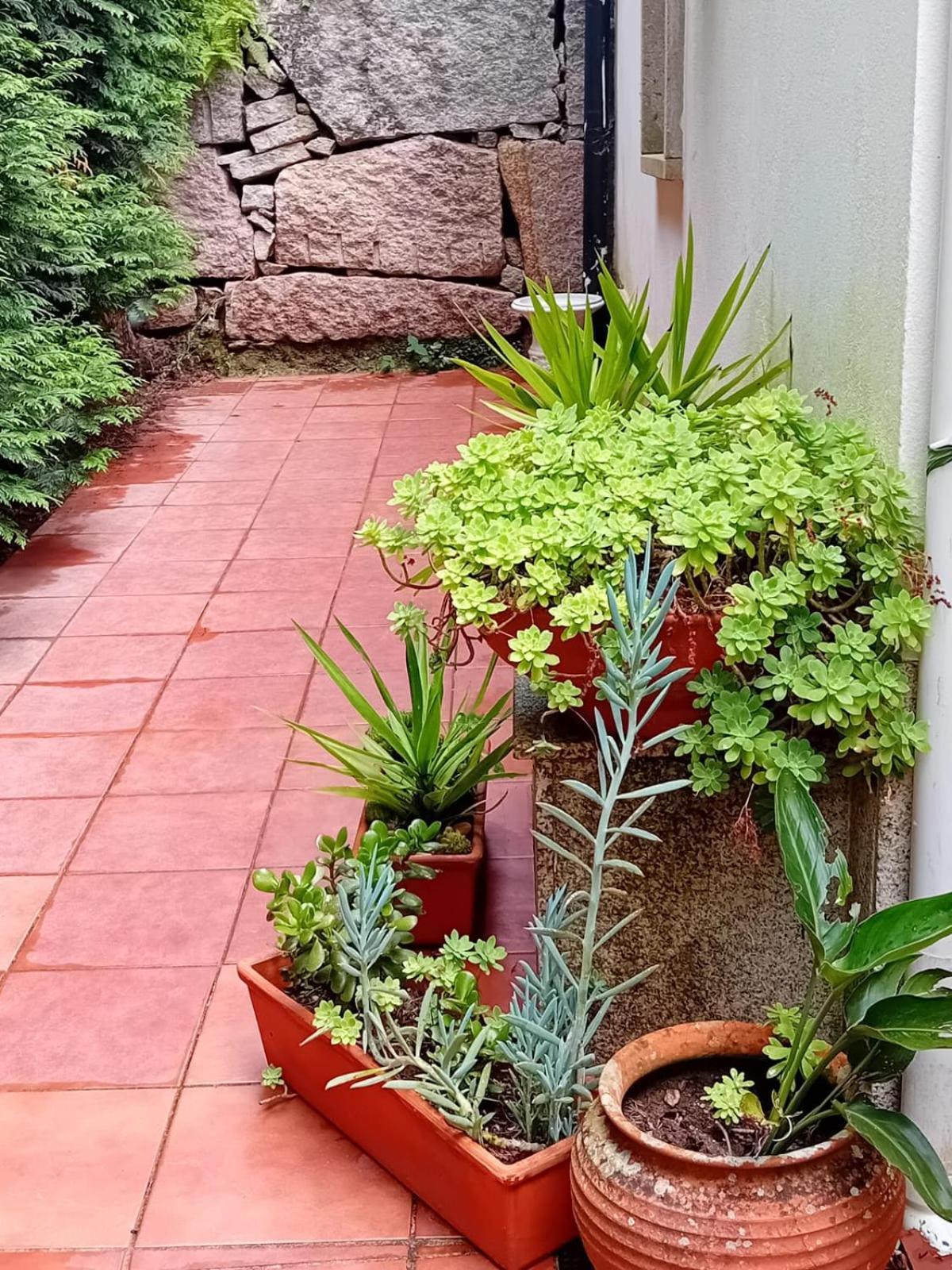 Vivienda Con Jardin Terraza Y Barbacoa Villa Picona Exterior foto